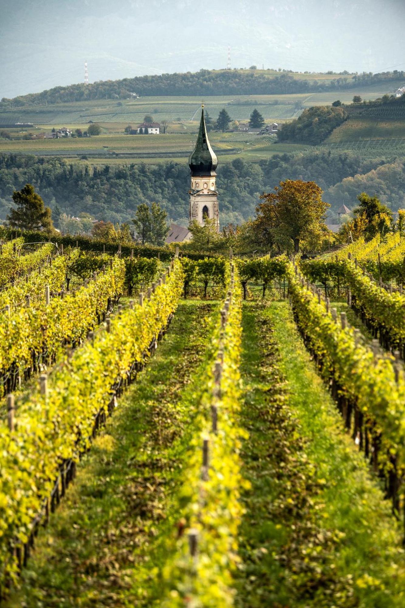 Belia Lofts - Adults Only - Apartments Appiano Sulla Strada Del Vino Luaran gambar