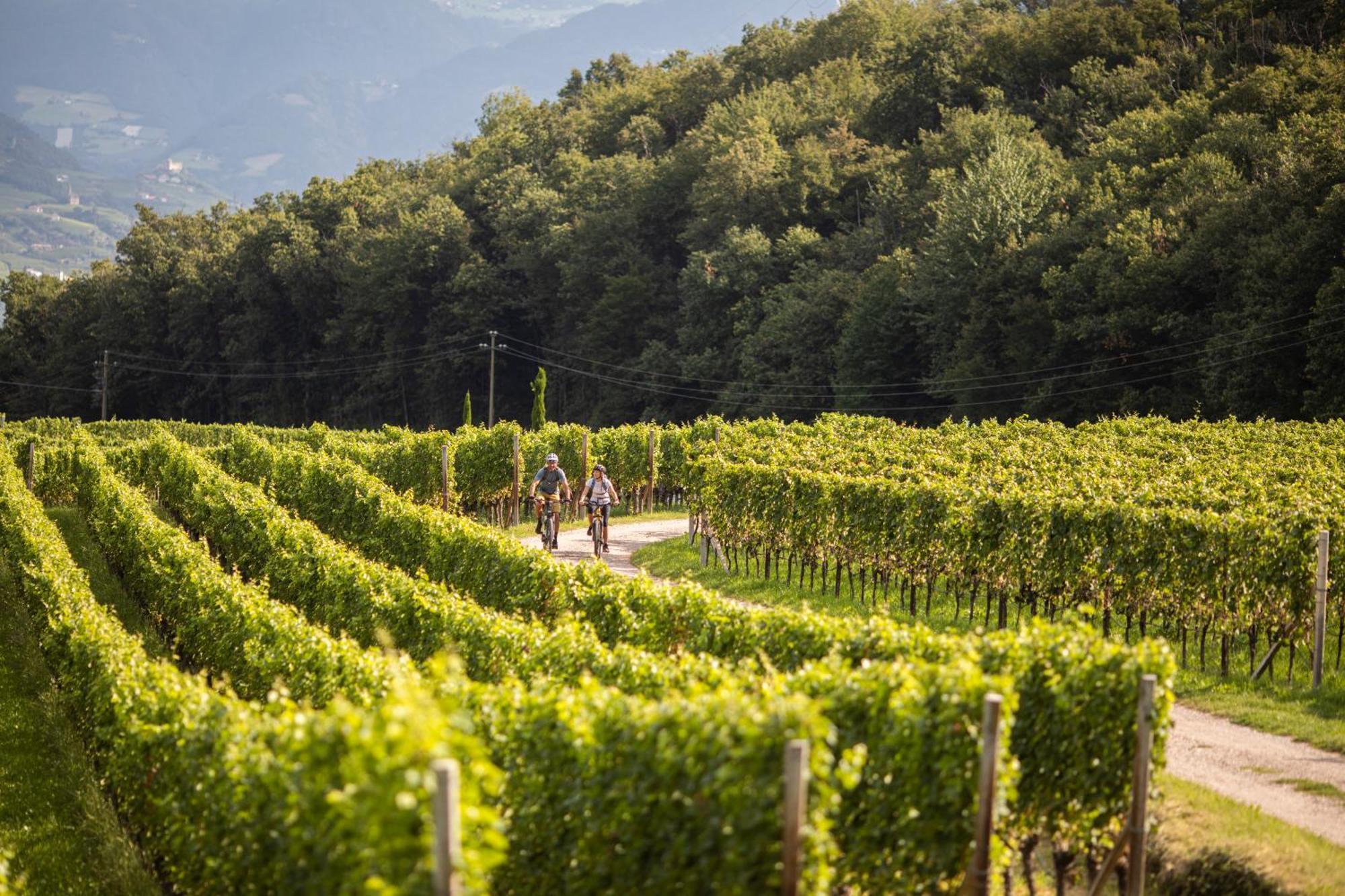 Belia Lofts - Adults Only - Apartments Appiano Sulla Strada Del Vino Luaran gambar
