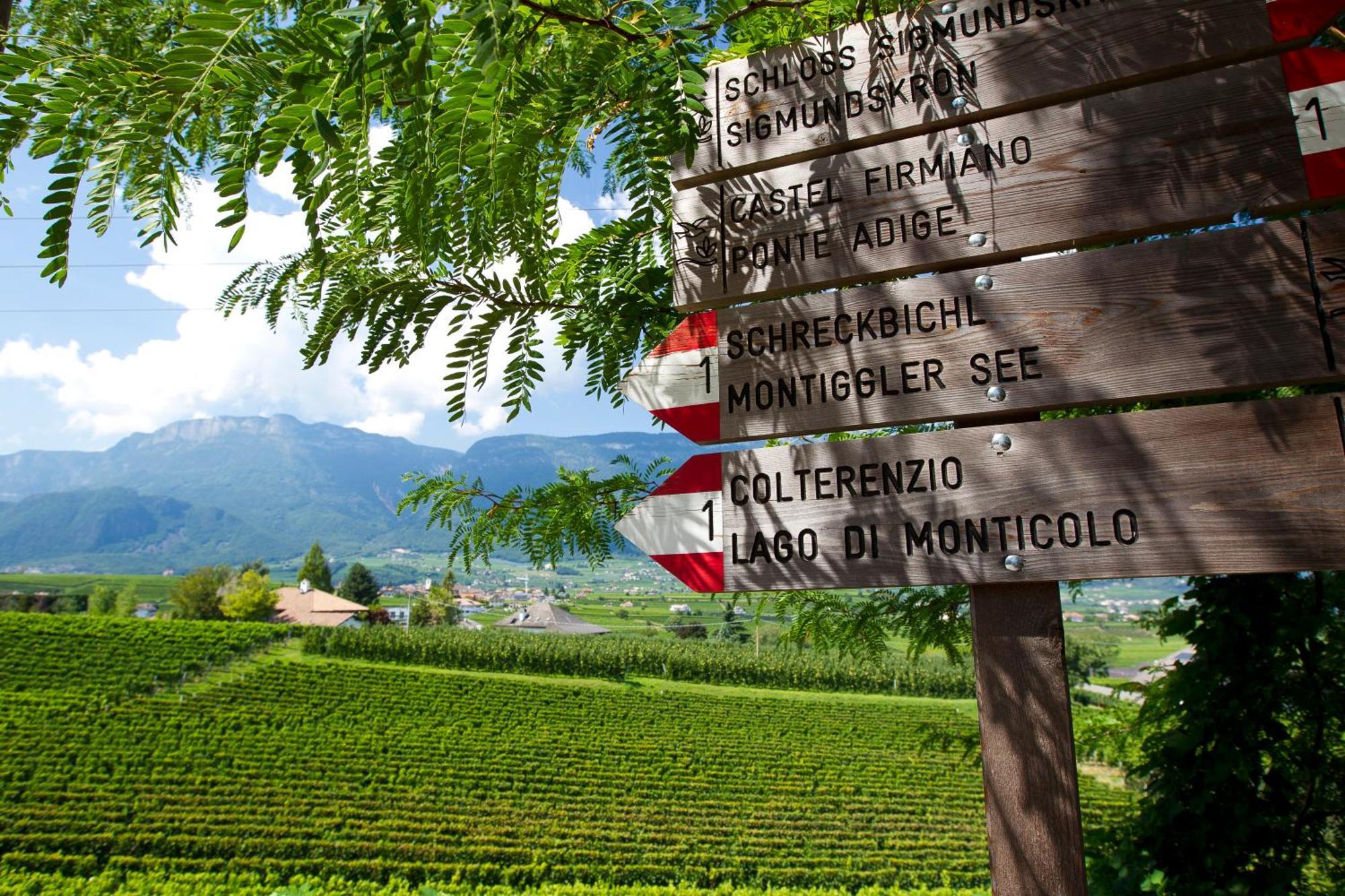 Belia Lofts - Adults Only - Apartments Appiano Sulla Strada Del Vino Luaran gambar