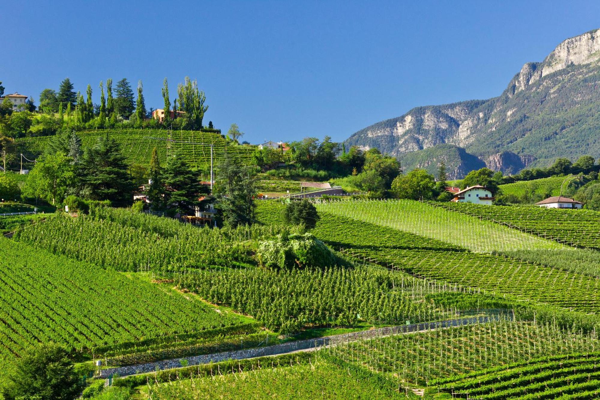 Belia Lofts - Adults Only - Apartments Appiano Sulla Strada Del Vino Luaran gambar
