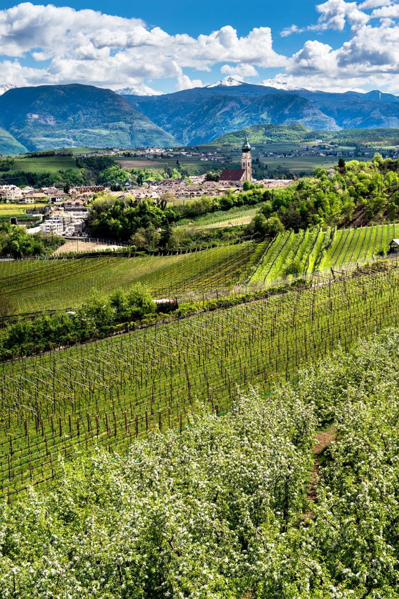 Belia Lofts - Adults Only - Apartments Appiano Sulla Strada Del Vino Luaran gambar